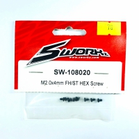 Sworkz M2x4mm FH/ST HEX Screw